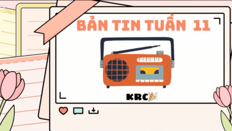 BẢN TIN TUẦN 11 CỦA CÂU LẠC BỘ KRC TRƯỜNG THPT KIM ĐỘNG