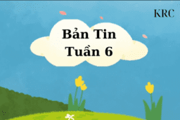 BẢN TIN TUẦN 6 CỦA CÂU LẠC BỘ KRC TRƯỜNG THPT KIM ĐỘNG 15/10/24