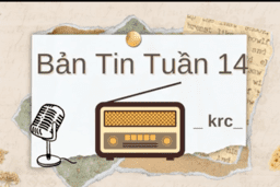 BẢN TIN TUẦN 14 CỦA CÂU LẠC BỘ KRC TRƯỜNG THPT KIM ĐỘNG 12/12/24
