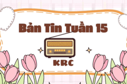BẢN TIN TUẦN 15 CỦA CÂU LẠC BỘ KRC TRƯỜNG THPT KIM ĐỘNG 23/12/24