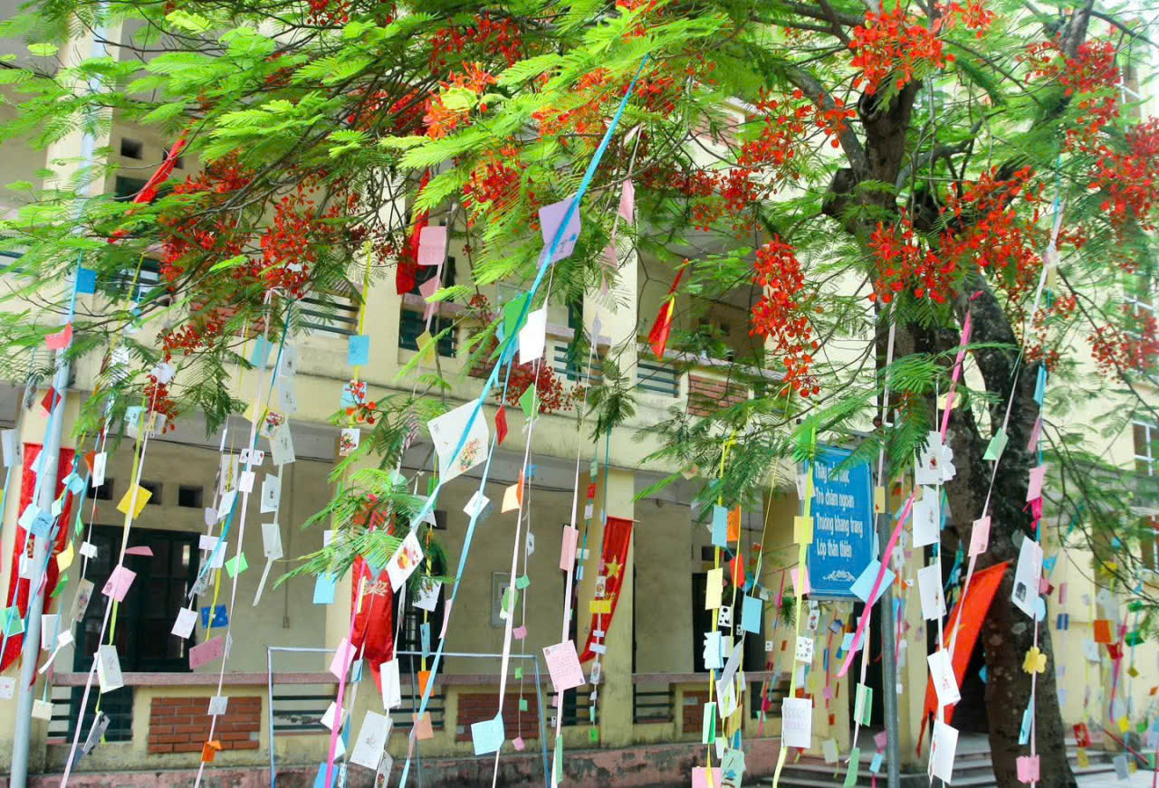 SÁU MƯƠI MÙA PHƯỢNG NỞ